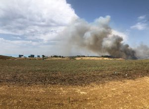 Vasto incendio nella zona nord di Civitavecchia