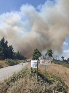 Vasto incendio a Martignano: vigili del fuoco e protezione civile a lavoro