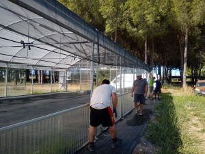 Tarquinia – Verso protocollo d’intesa tra regione Lazio, Provincia di Viterbo e Comune per l’utilizzo di strutture pubbliche