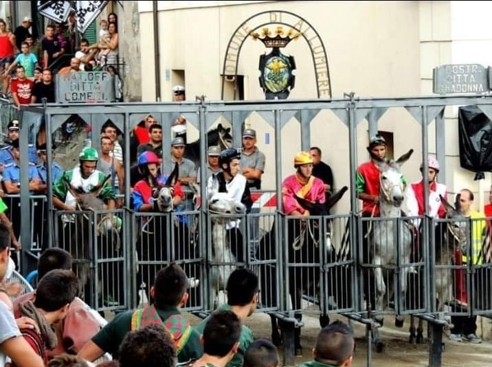 Niente da fare per 
 


il Palio delle Contrade,
 


annullato l’evento