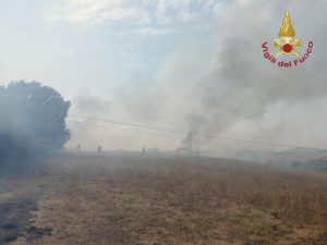 Bracciano: a fuoco 10 ettari tra macchia mediterranea e sterpaglie