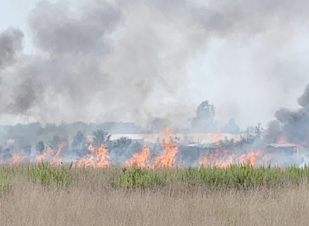 Roma di nuovo in fiamme: vasto incendio a Primavalle, minacciate alcune abitazioni