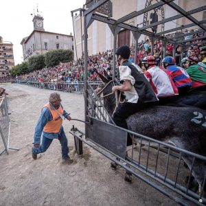 Annullato il Palio di Allumiere, le Contrade: «Una doccia fredda»