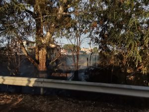 Bracciano: sterpaglie a fuoco, duro lavoro dei vigili del fuoco