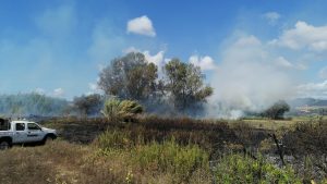 Oriolo Romano – Incendia due ettari di bosco, denunciato imprenditore