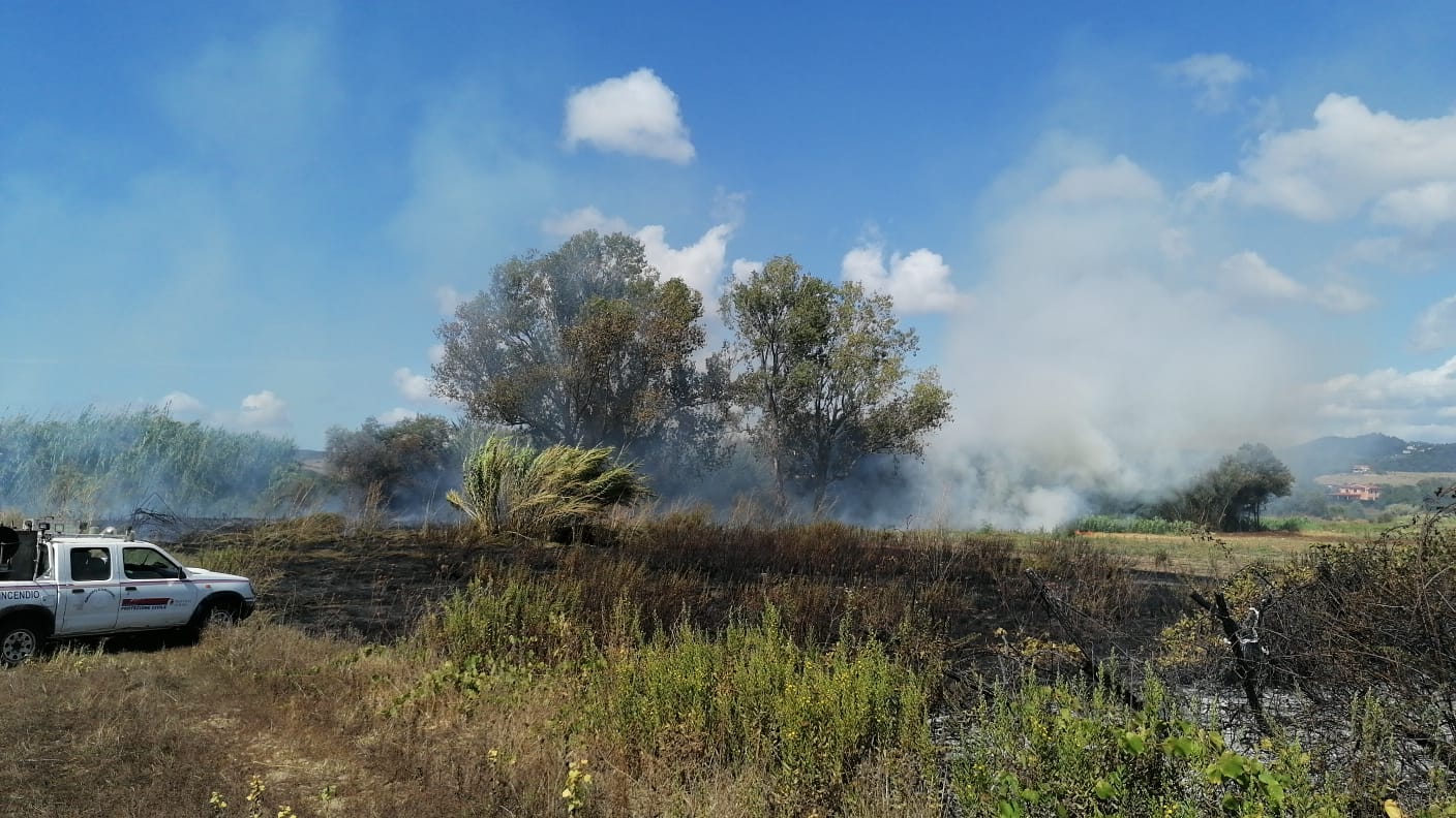Oriolo Romano – Incendia due ettari di bosco, denunciato imprenditore
