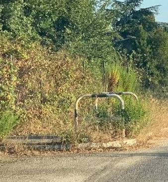 «Fiumicino, nel degrado la succursale del Da Vinci»