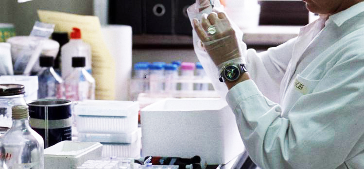 A Roma il congresso Si-Guida