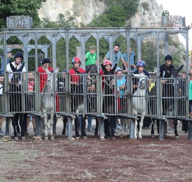 Memorial Alessio Torroni, la Contrada Sant’Antonio si aggiudica il Mini Palio