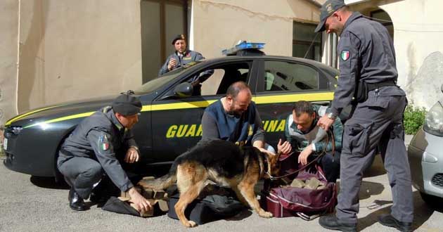 Droga: tolfetano nei guai