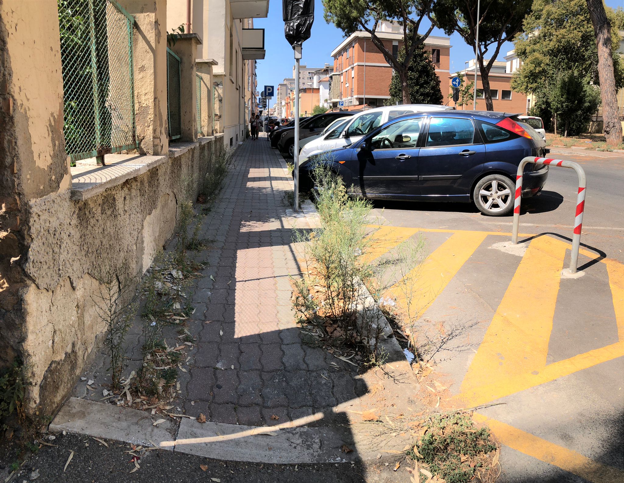 Degrado e incuria in via Calisse