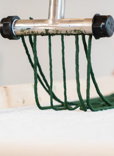 Dalla Puglia arrivano gli spaghetti all’alga spirulina