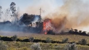 Roma, vasto incendio a Casal Monastero: traffico sul Gra a rischio
