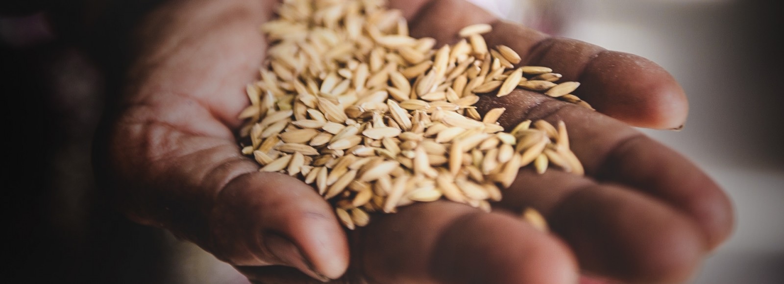 Cosa mangeremo in futuro? Se ne parla a Roma