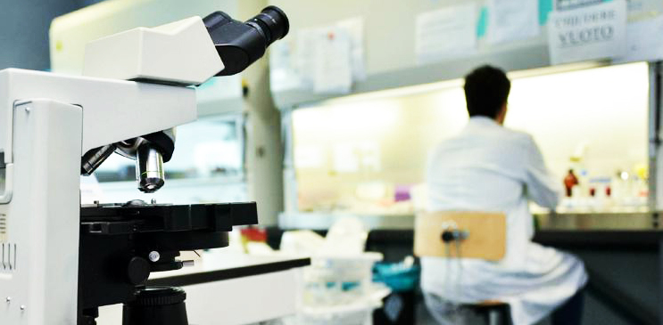 Più vitamina D con il probiotico