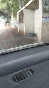 WhatsApp Image 2021-11-11 at 12.45.47