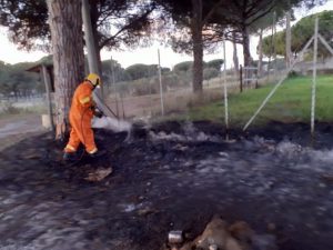 Roma, appicca incendio in area verde di Talenti: fermato rumeno con innesco