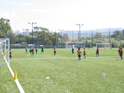 ”Natale al Dlf” annullato per l’incremento di contagi da Covid