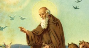 Bilancio positivo per la festa di Sant’Antonio Abate