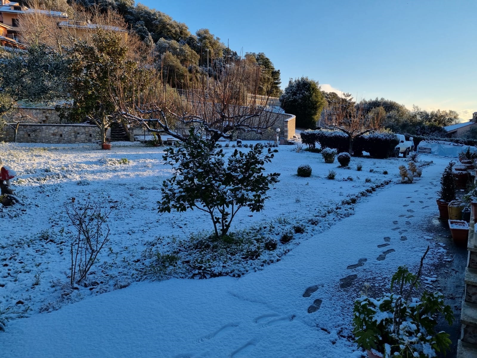 Neve a Tolfa: chiuse le scuole