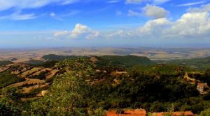 “Antico presente”, 
alla scoperta
 del grande
 


fontanile che si trova ai piedi di monte Tolfaccia