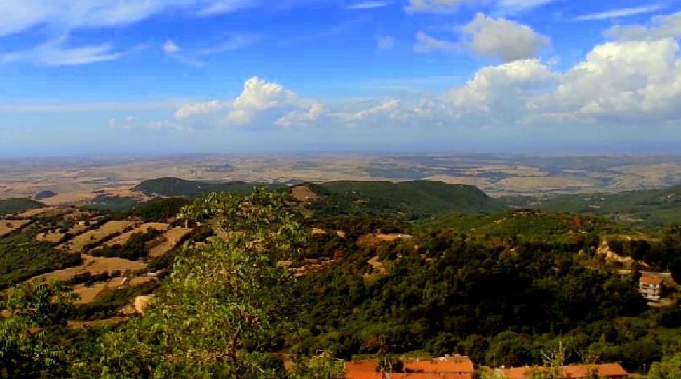 “Antico presente”, 
alla scoperta
 del grande
 


fontanile che si trova ai piedi di monte Tolfaccia