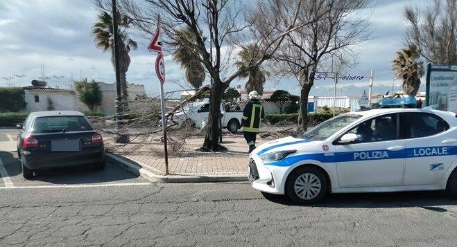 Il vento causa danni:
 


rami caduti sulle auto