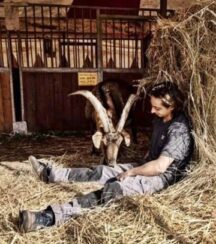 Non sparate sugli animali che stanno bene