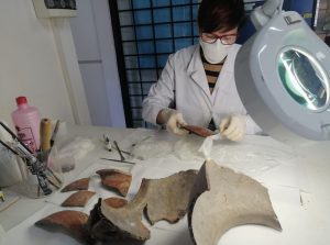 Quasi completato il restauro dei reperti della Necropoli etrusca della Riserva del Ferrone