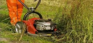 Viterbo, Ricci (PD) accusa: “1,2 milioni di euro per il verde, ma la città è sommersa di erba”