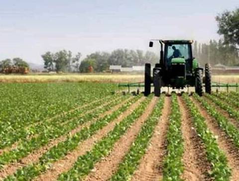 Allarme caro carburanti nelle campagne del litorale:
 


aziende agricole e settori produttivi in grave crisi