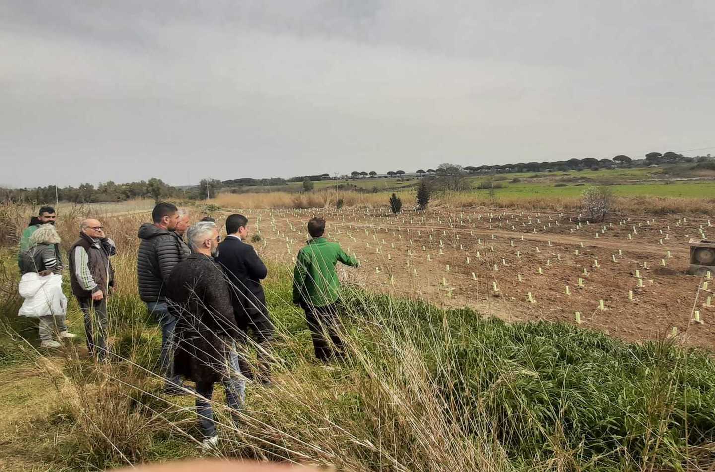 Una cintura verde di 3mila piante
 


al quartiere Cerreto