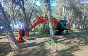 Frasca, terminato l’intervento di Arsial