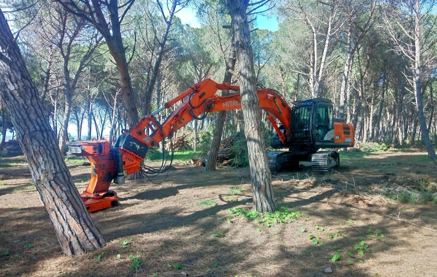 Frasca, terminato l’intervento di Arsial