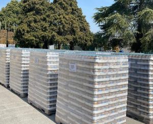 Legumi, pelati e passate di pomodoro per l’Ucraina: iniziativa di solidarietà di Vincenzo Franzese