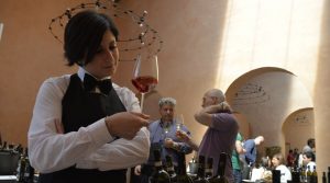 Ai Castelli Romani nasce la rete “Vip”: vino, pane e innovazione