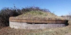 Ripulita la necropoli di Pian della Conserva