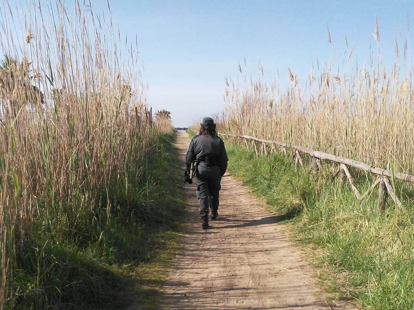 Cinghiali a spasso nella Palude,
 


a rischio i nidi degli uccelli