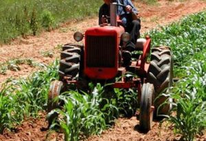 Costi di gasolio e materie prime alle stelle: gli agricoltori di Tarquinia scioperano