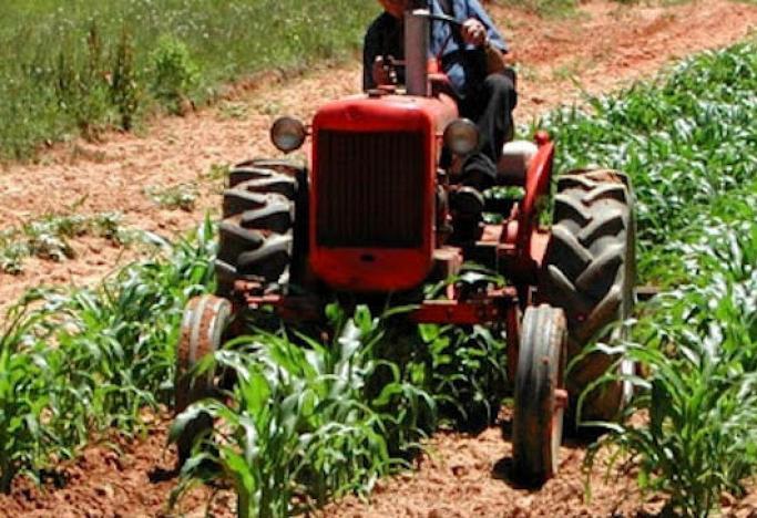 Costi di gasolio e materie prime alle stelle: gli agricoltori di Tarquinia scioperano