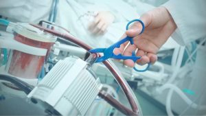 Eutanasia, ad Anguillara un ordine del giorno per sostenere l’approvazione del progetto di legge