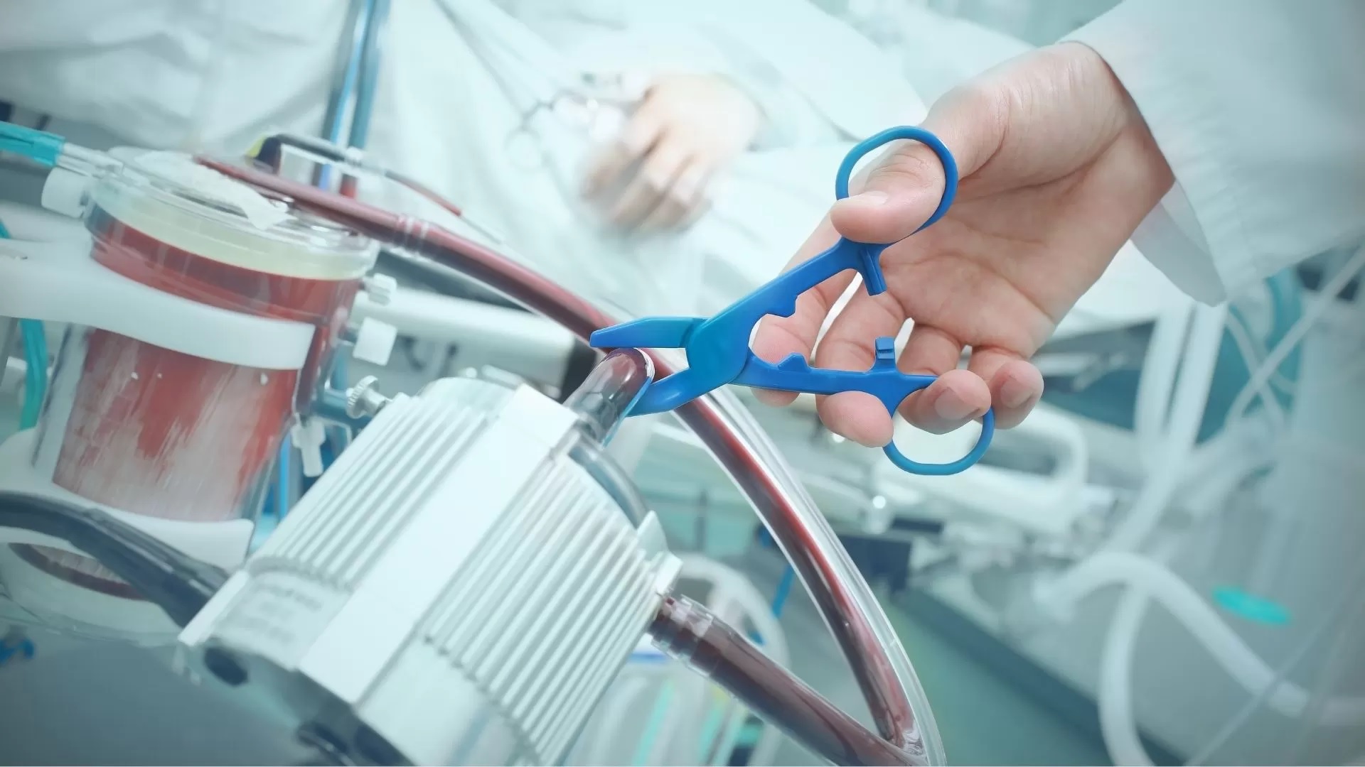 Eutanasia, ad Anguillara un ordine del giorno per sostenere l’approvazione del progetto di legge