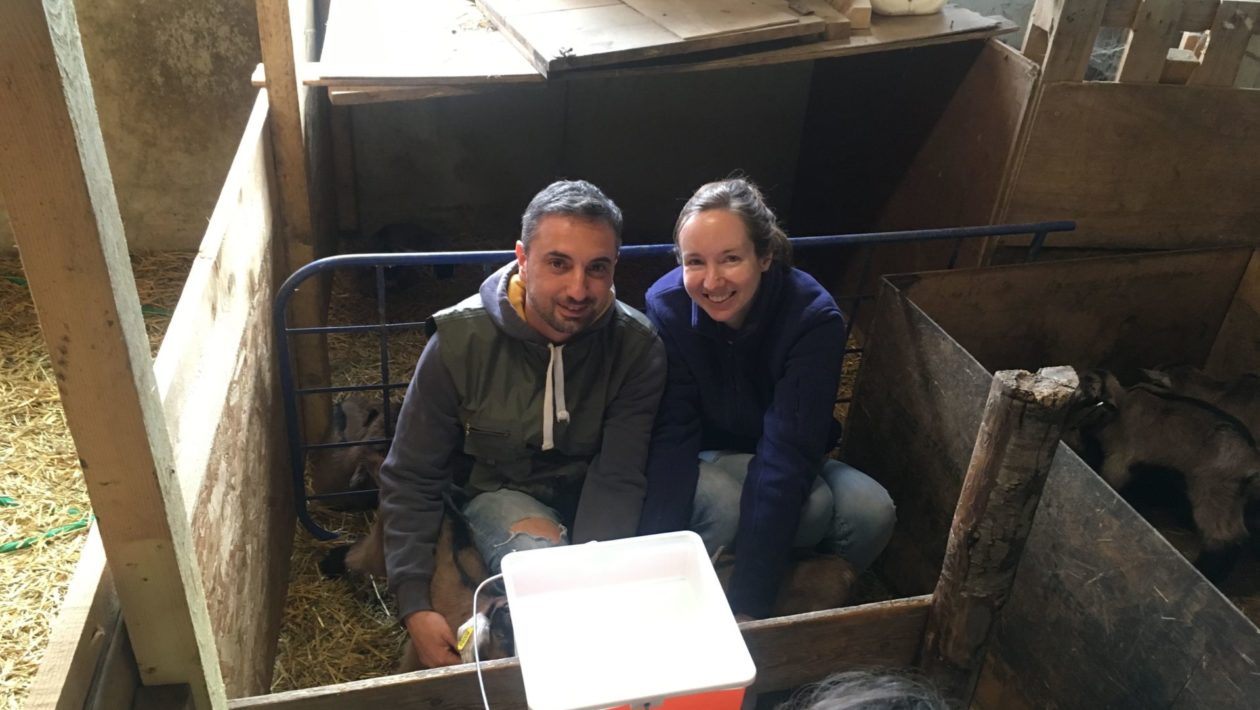 “Contadini per un giorno”: grazie ad Agriexperience si torna alle origini