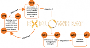 “EXPLOWHEAT”: finanziato con 500mila euro il progetto Unitus contro la siccità