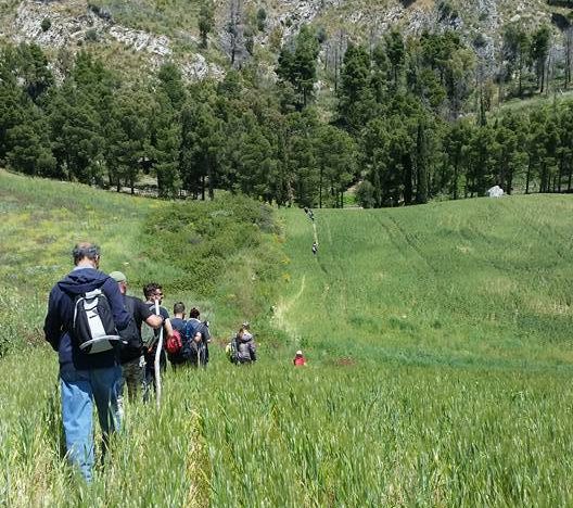 Montefiascone – Dalla Regione 80mila euro per promuovere la Via Francigena