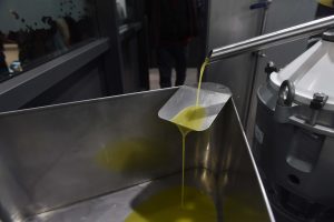 Prodotti Dop e Igp, webinar gratuito sul nuovo regolamento