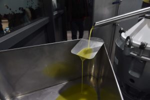 Olio, la Finanza blocca oltre 2 milioni di litri di extravergine d’oliva non a norma