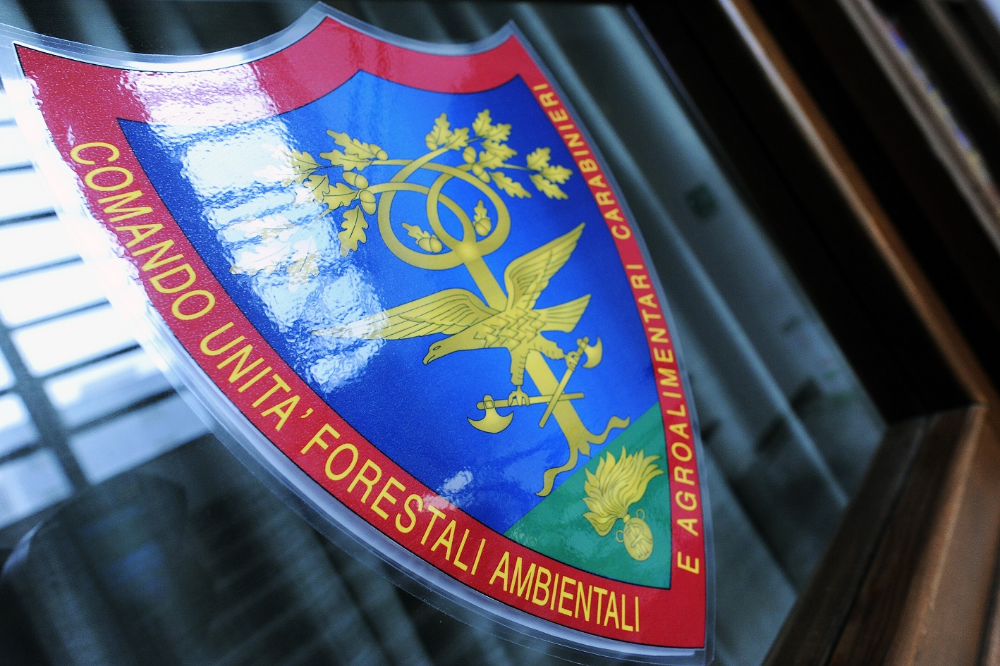 Frosinone – Indagine DDA, sequestrato depuratore di Ceccano. Due arresti e 14 indagati