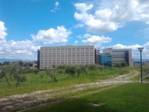 Tor Vergata diventa polo di ricerca sul tema dei trapianti per l’Albania