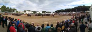 Maremma d’aMare, torna a Montalto Marina la fiera delle tradizioni